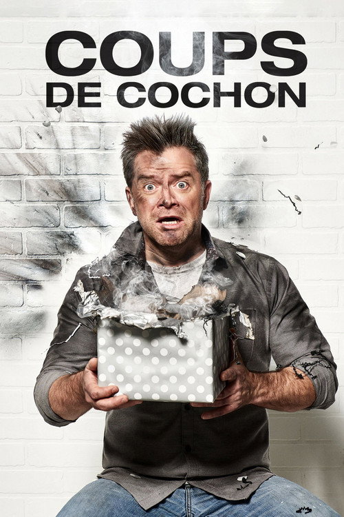 Coups de cochon (2020) TV show poster