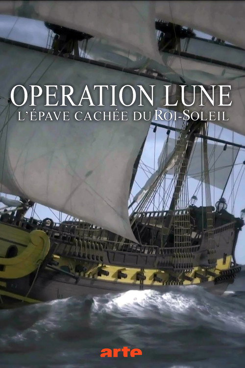 Opération Lune: L'épave cachée du Roi-Soleil (2013) movie poster