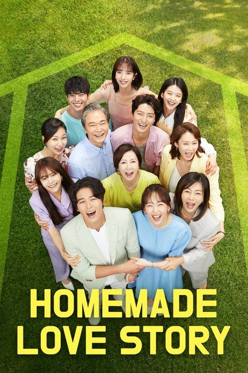 Homemade Love Story (2020) TV show poster