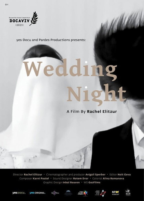 Wedding Night (2023) movie poster