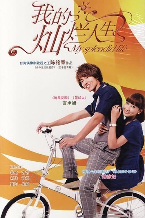 My Splendid Life (2011) TV show poster