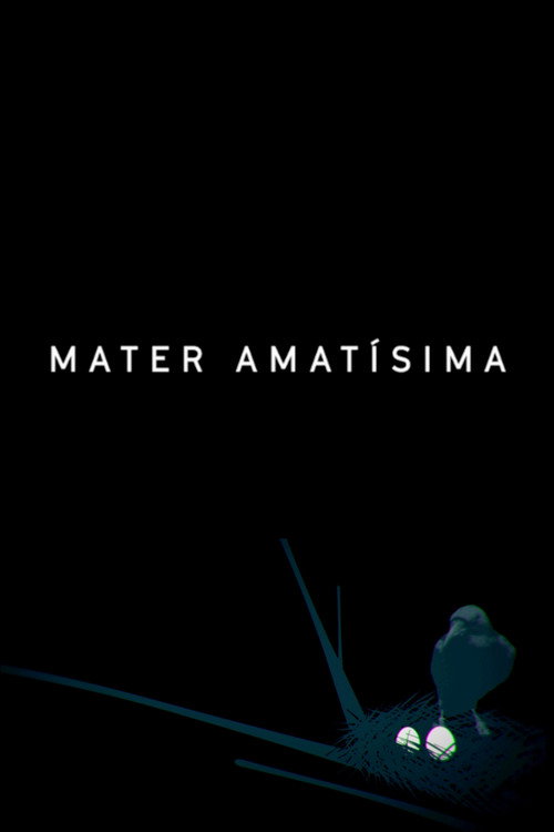 Mater Amatisima (2017) movie poster