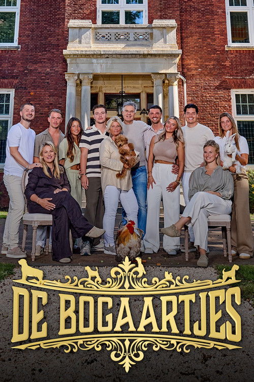 De Bogaartjes (2026) TV show poster