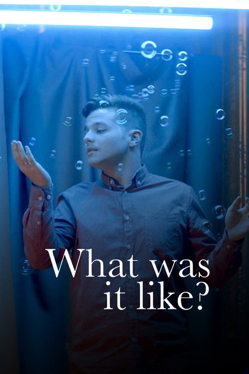 What Was It Like? (2020) movie poster