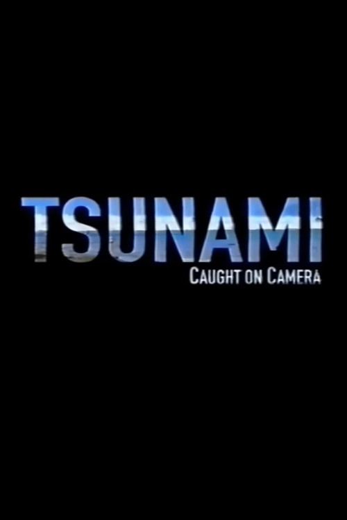 Tsunami: Caught on Camera (2009) movie poster