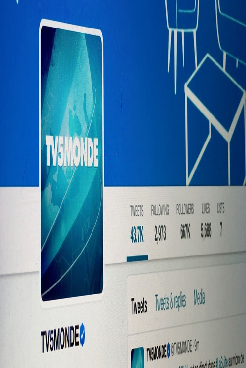 TV5 Monde Incident Analysis (2017) movie poster