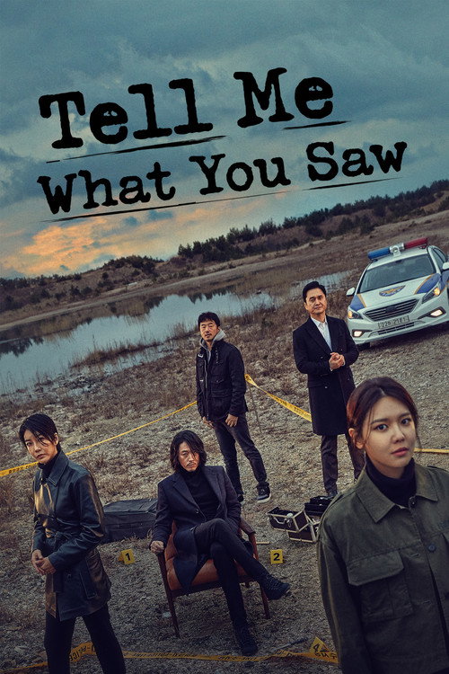Tell Me What You Saw (2020) TV show poster