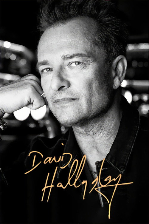 David Hallyday (2023) movie poster
