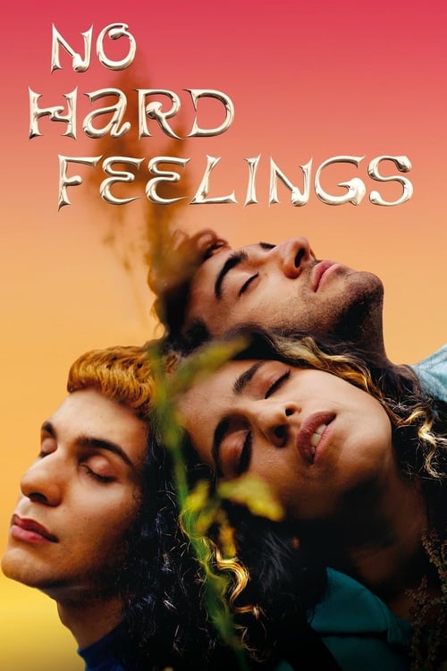 No Hard Feelings (2020) movie poster