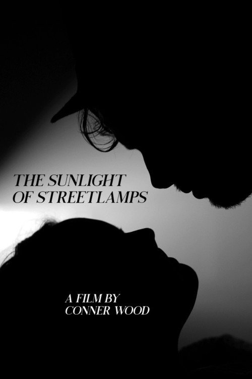 The Sunlight of Streetlamps (2020) movie poster