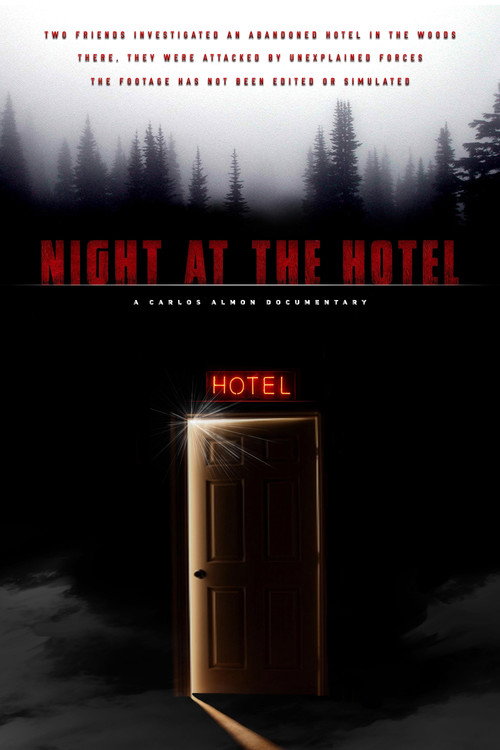 Night at the Hotel (2019) movie poster