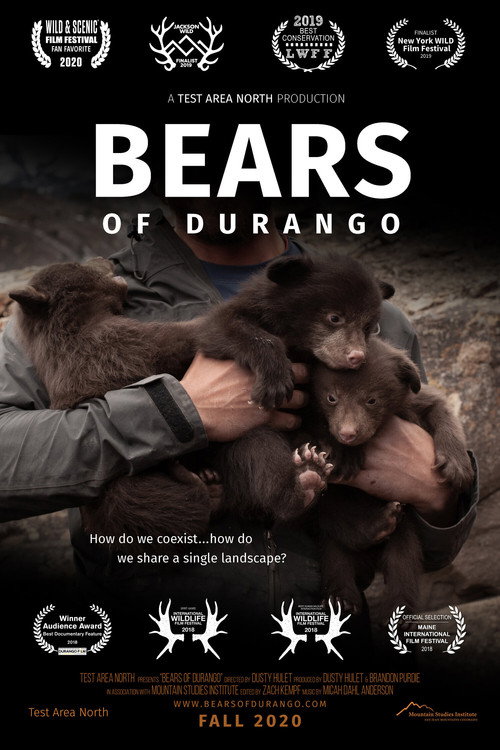 Bears of Durango (2018) movie poster