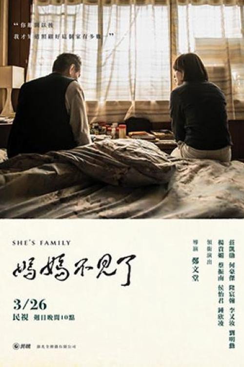 媽媽不見了 (2017) TV show poster