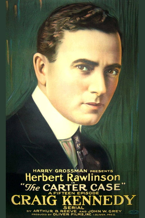 The Carter Case (1919) movie poster