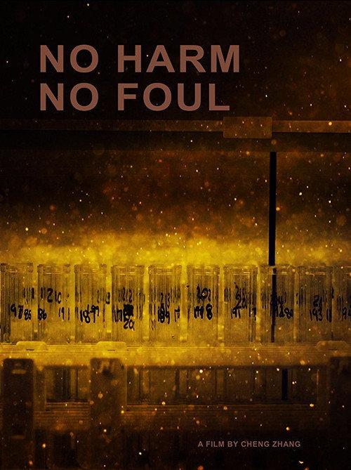 No Harm No Foul (2017) movie poster