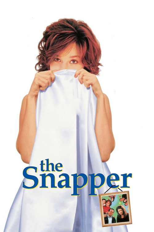 The Snapper (1993) movie poster