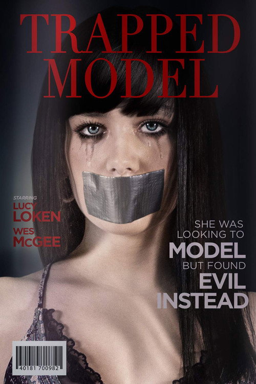 A Model Kidnapping (2019) movie poster