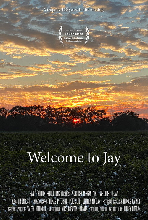 Welcome to Jay (2024) movie poster