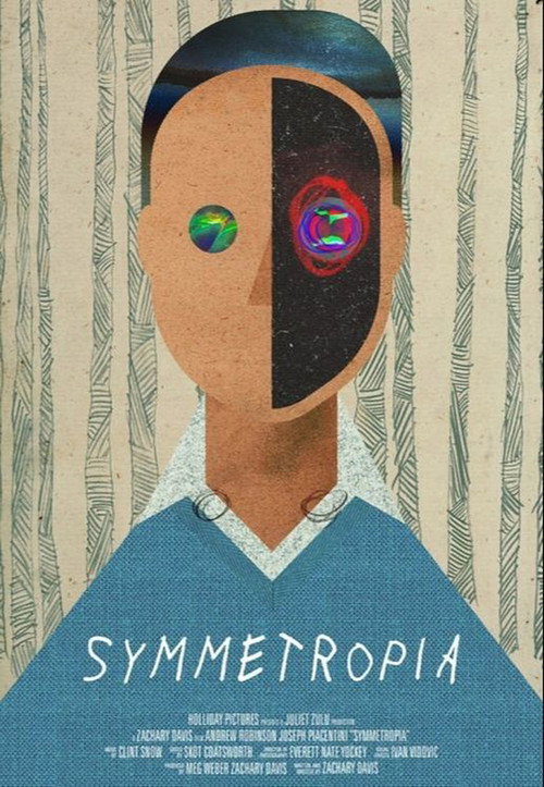 Symmetropia (2017) movie poster