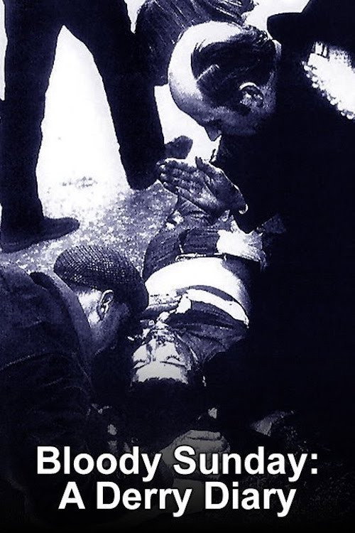 Bloody Sunday: A Derry Diary (2010) movie poster