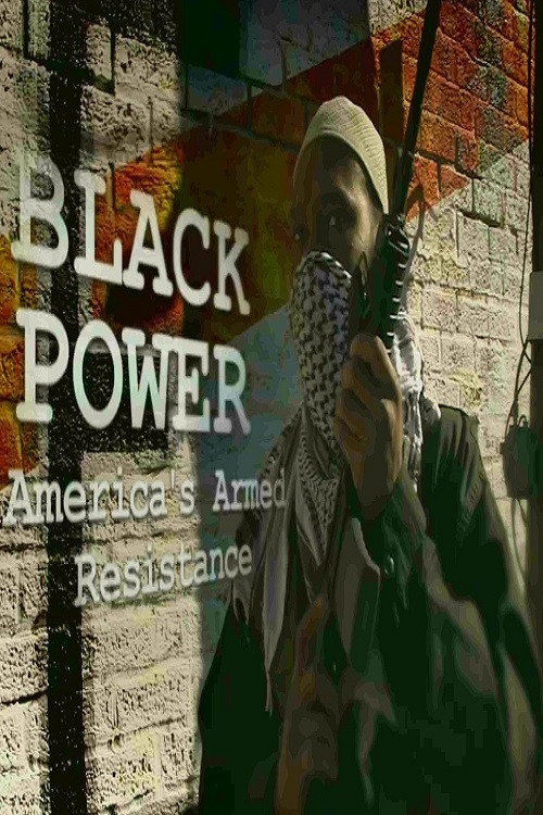 Black Power: America's Armed Resistance (2016) movie poster