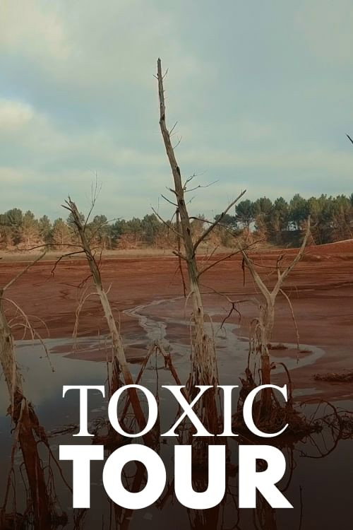 Toxic Tour (2022) TV show poster