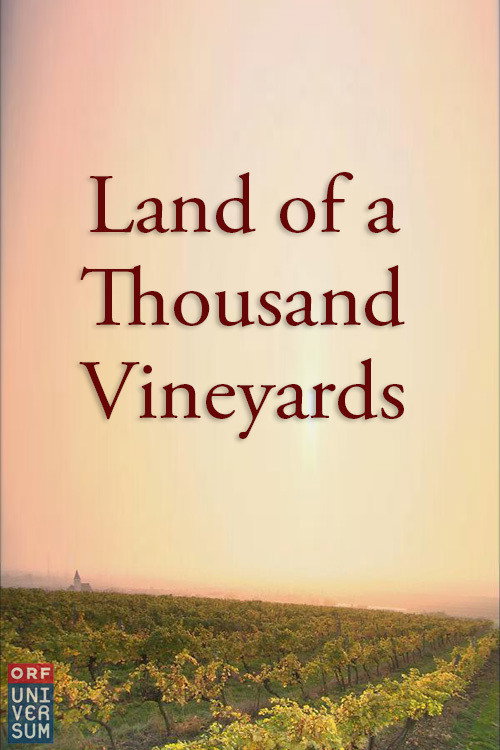 Land of a Thousand Vineyards (2000) movie poster