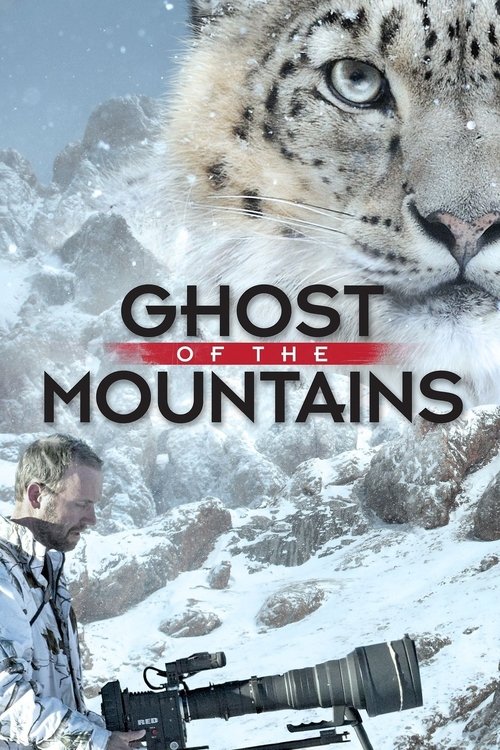 Ghost of the Mountains (2017) movie poster
