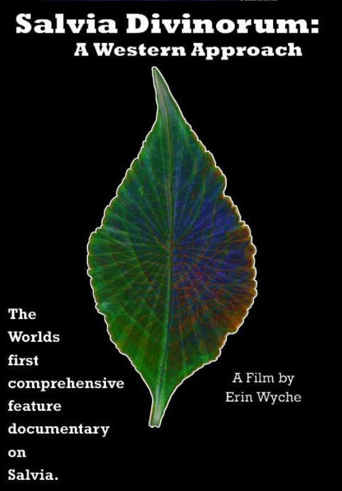 Salvia Divinorum: A Western Approach (2022) movie poster