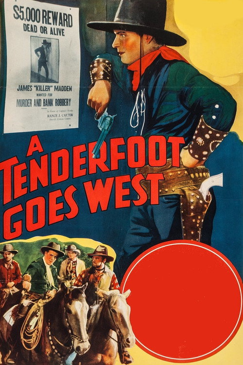 A Tenderfoot Goes West (1936) movie poster