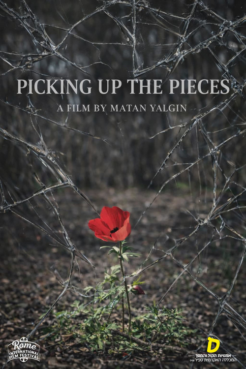 Picking Up the Pieces (2024) movie poster