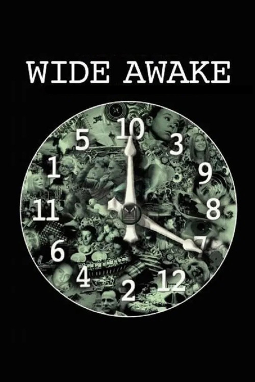 Wide Awake (2006) movie poster