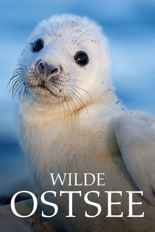 Wild Baltic Sea (2017) TV show poster