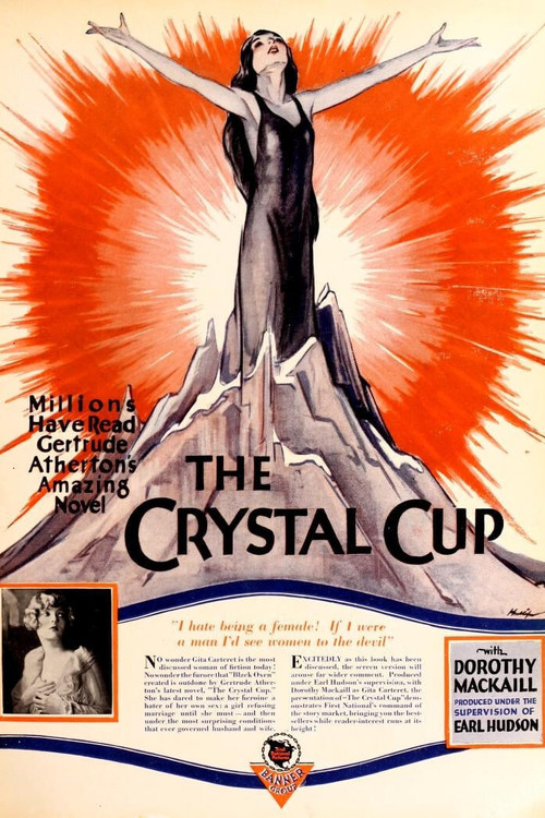 The Crystal Cup (1927) movie poster