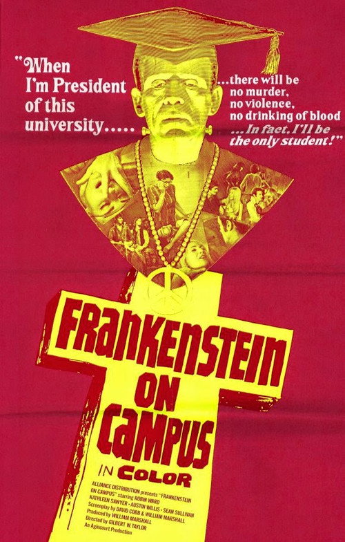 Flick (1970) movie poster