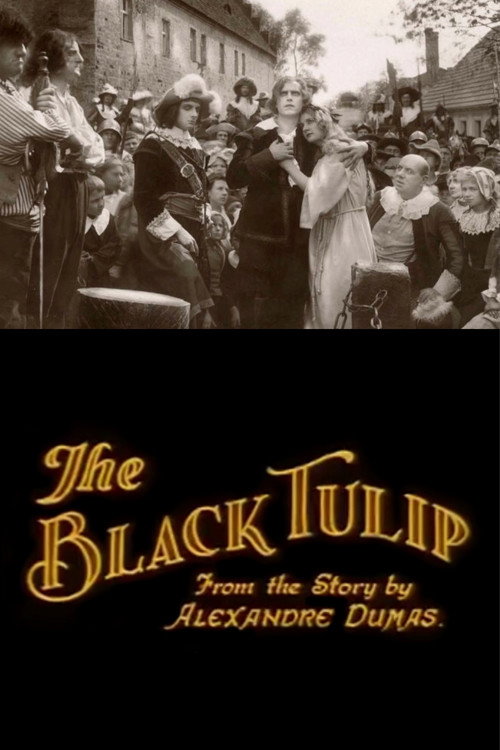 The Black Tulip (1921) movie poster