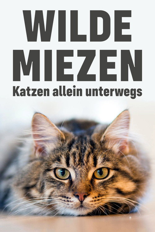 Wilde Miezen - Katzen allein unterwegs (2017) movie poster