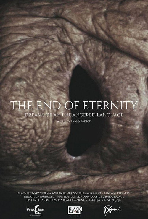 The End of Eternity (2018) movie poster