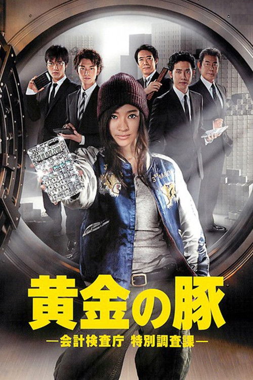 The Golden Piggy (2010) TV show poster