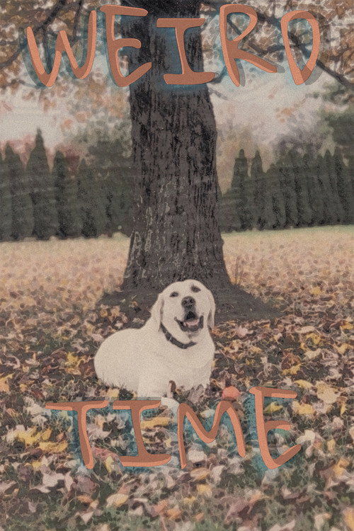 Weird Time (2025) movie poster