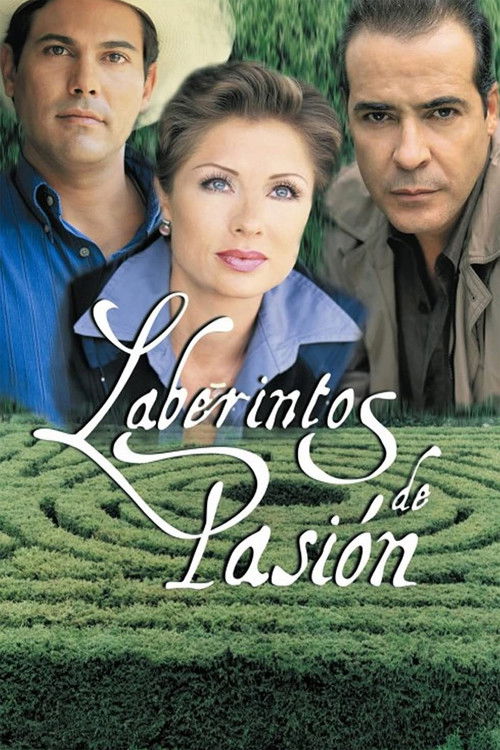 Labyrinth of Passion (1999) TV show poster