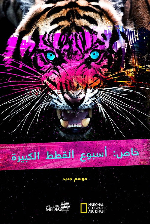 Big Cat Week Collection (2010) TV show poster