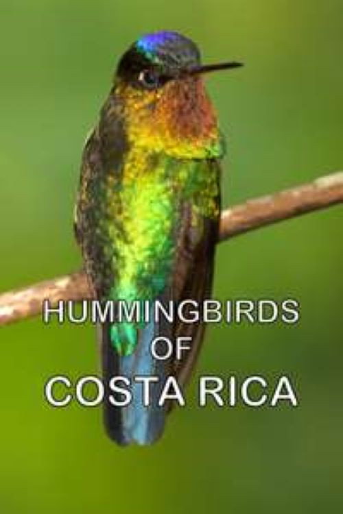 Hummingbirds of Costa Rica (2016) movie poster