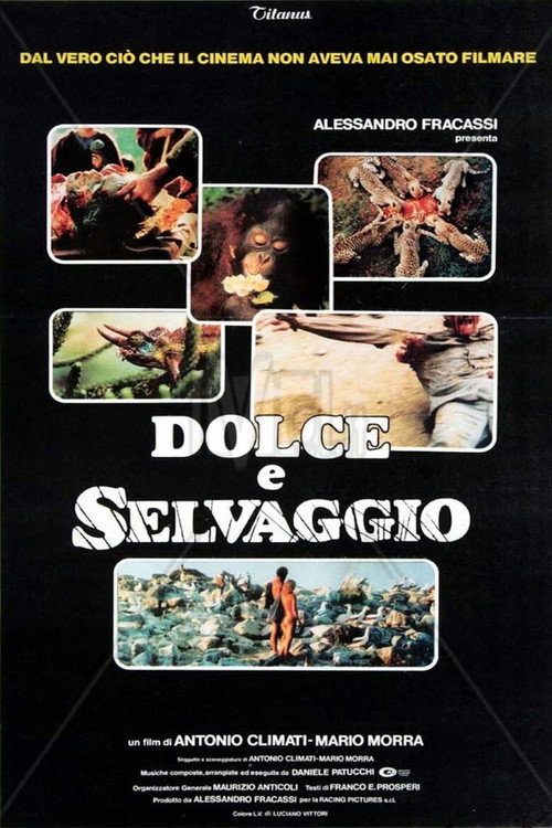 Sweet and Savage (1983) movie poster