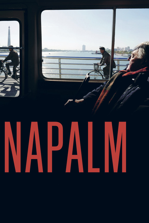 Napalm (2017) movie poster