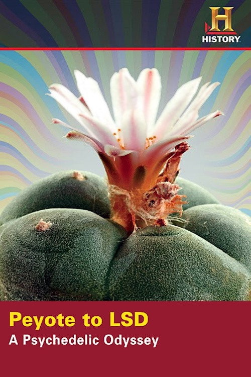 Peyote to LSD: A Psychedelic Odyssey (2008) movie poster