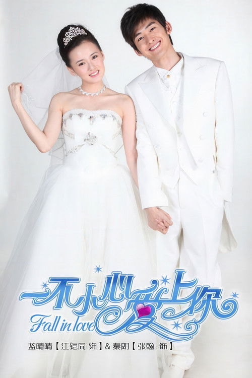 Fall In Love (2011) TV show poster