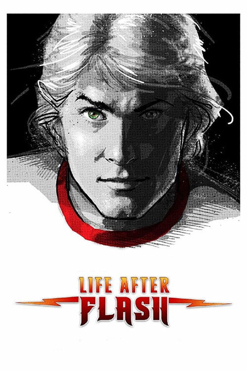 Life After Flash (2017) movie poster
