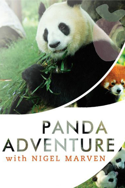 Panda Adventure with Nigel Marven (2011) TV show poster