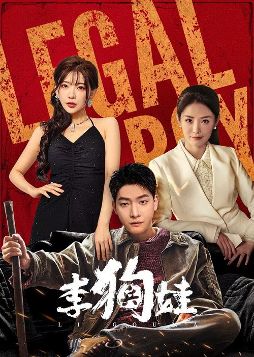 Legal Boy (2025) TV show poster